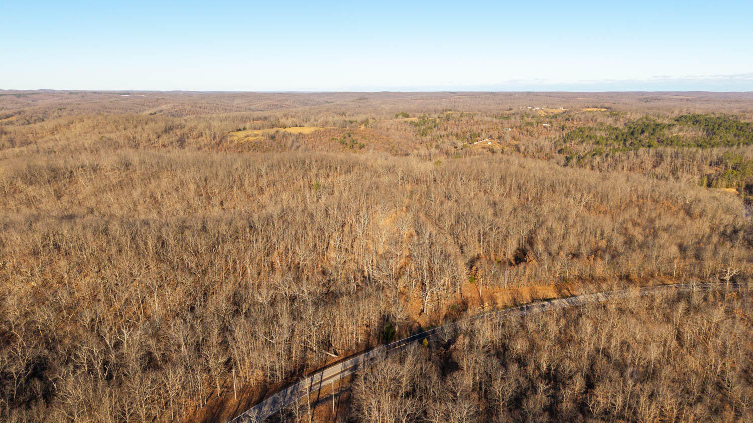 Land for sale – 000  State Highway 137   Willow Springs, MO
