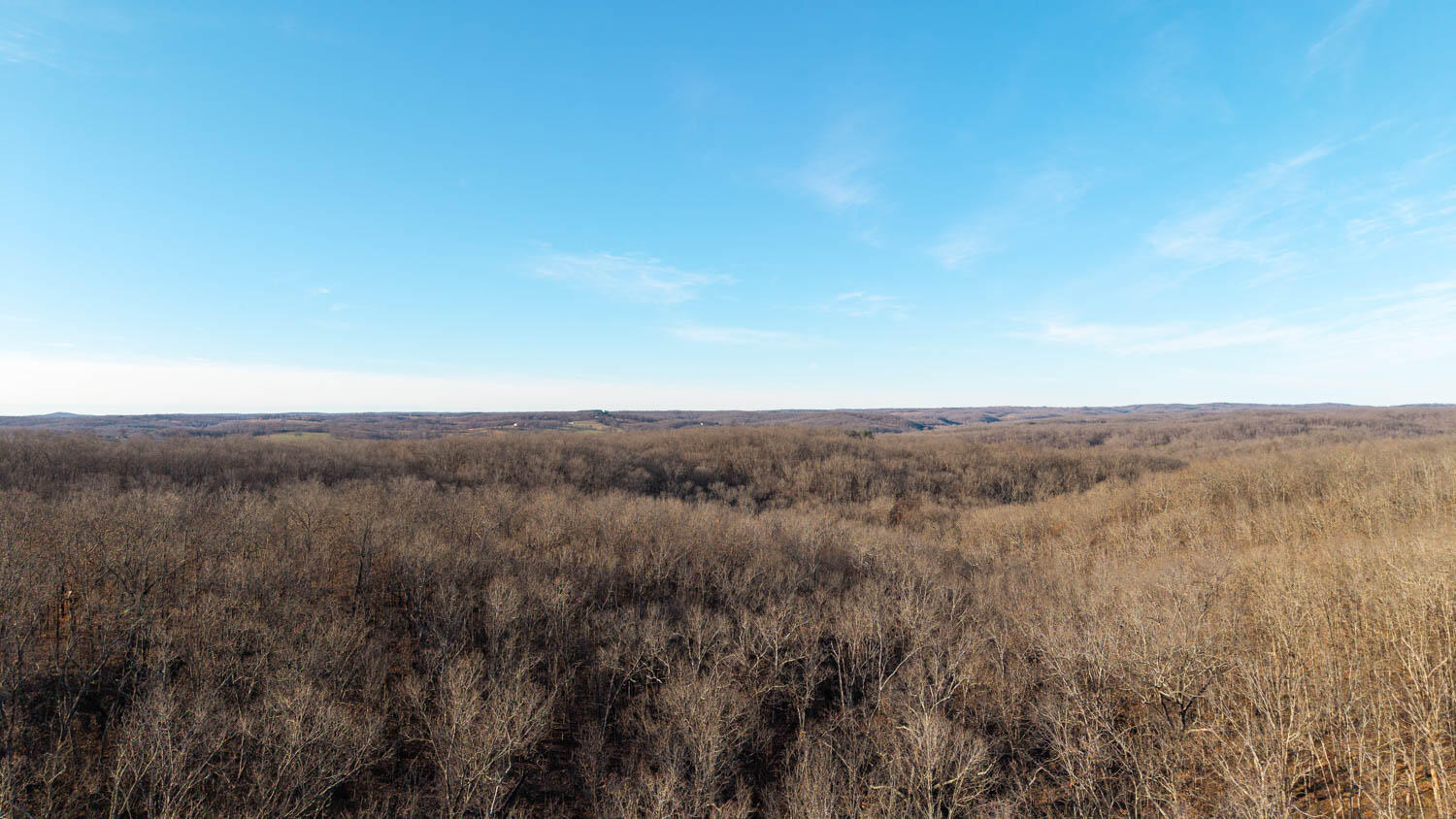 Photo 4 - Land for sale – 000  State Highway 137   Willow Springs, MO