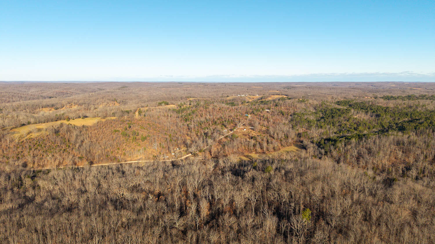 Photo 9 - Land for sale – 000  State Highway 137   Willow Springs, MO