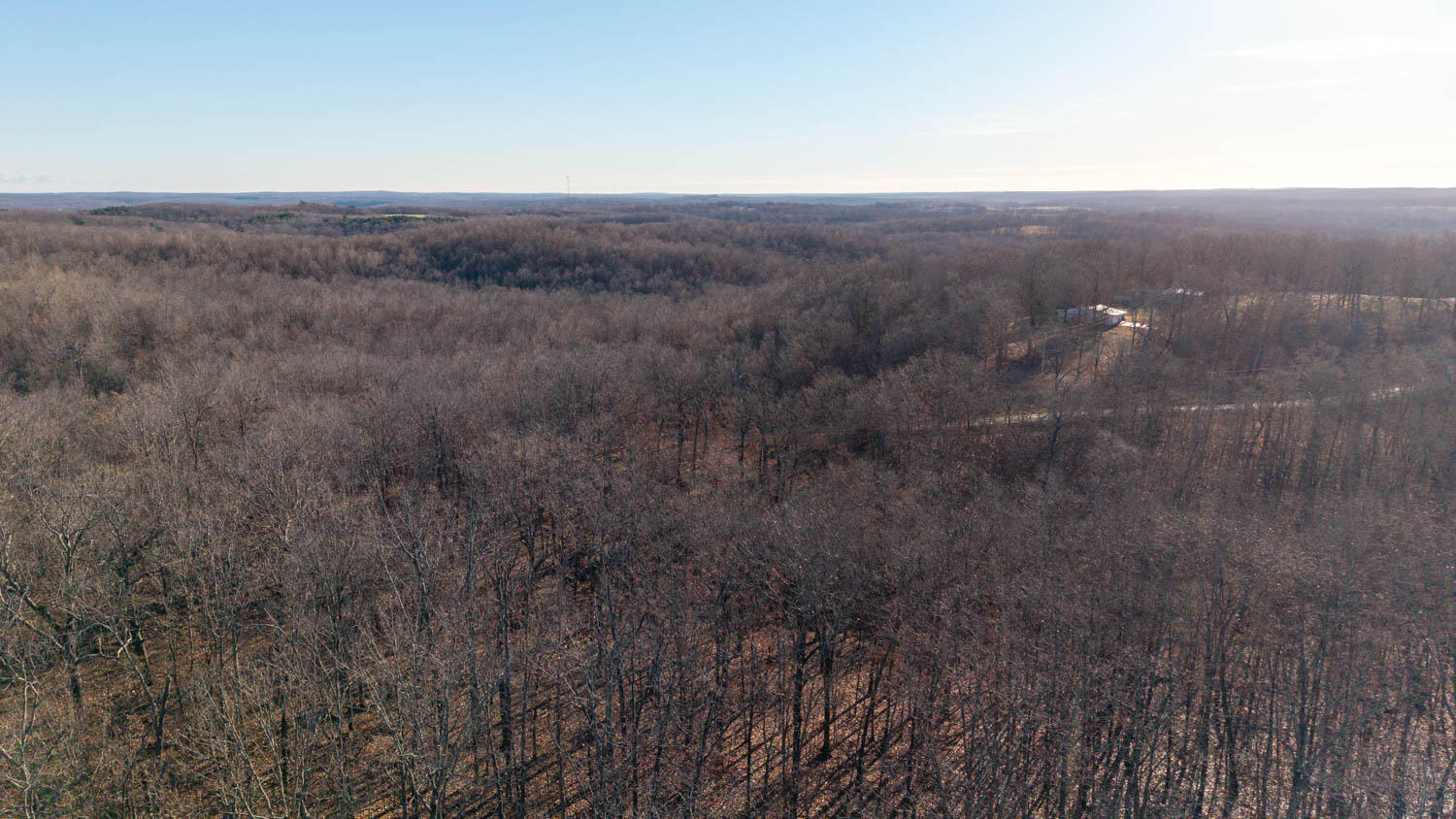 Photo 13 - Land for sale – 000  State Highway 137   Willow Springs, MO