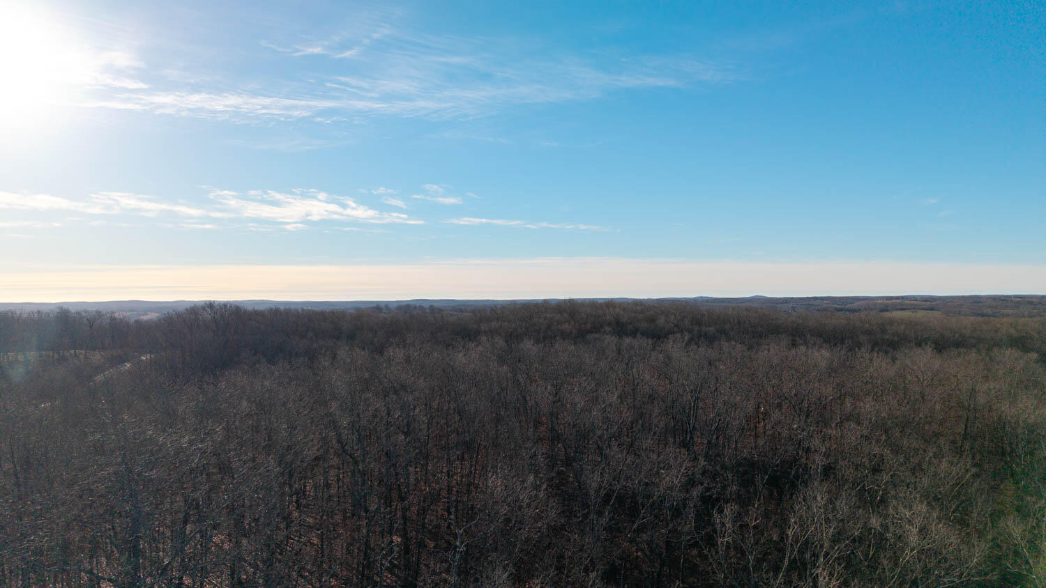 Photo 5 - Land for sale – 000  State Highway 137   Willow Springs, MO