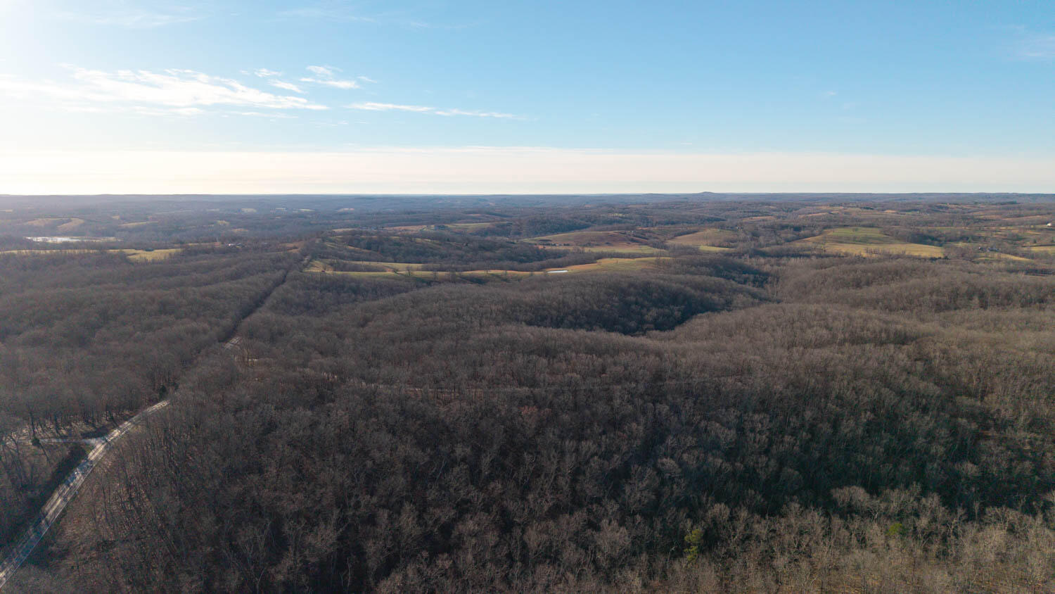 Photo 10 - Land for sale – 000  State Highway 137   Willow Springs, MO