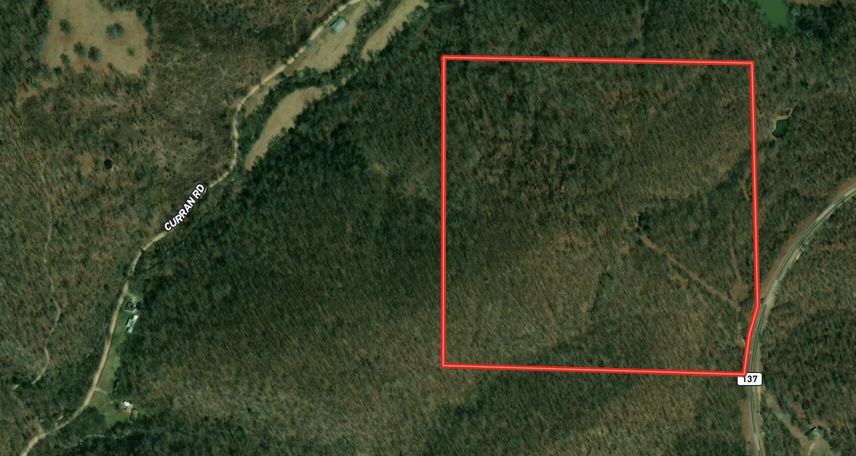 Photo 2 - Land for sale – 000  State Highway 137   Willow Springs, MO