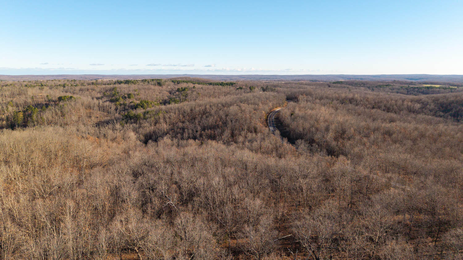 Photo 7 - Land for sale – 000  State Highway 137   Willow Springs, MO