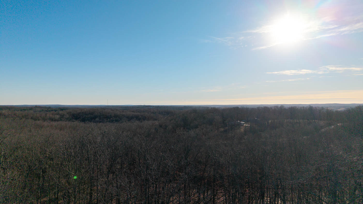Photo 6 - Land for sale – 000  State Highway 137   Willow Springs, MO