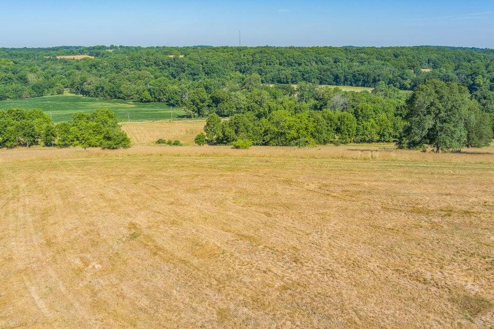 Photo 7 - Land for sale – 2097 W Big Bend Road  Nixa, MO