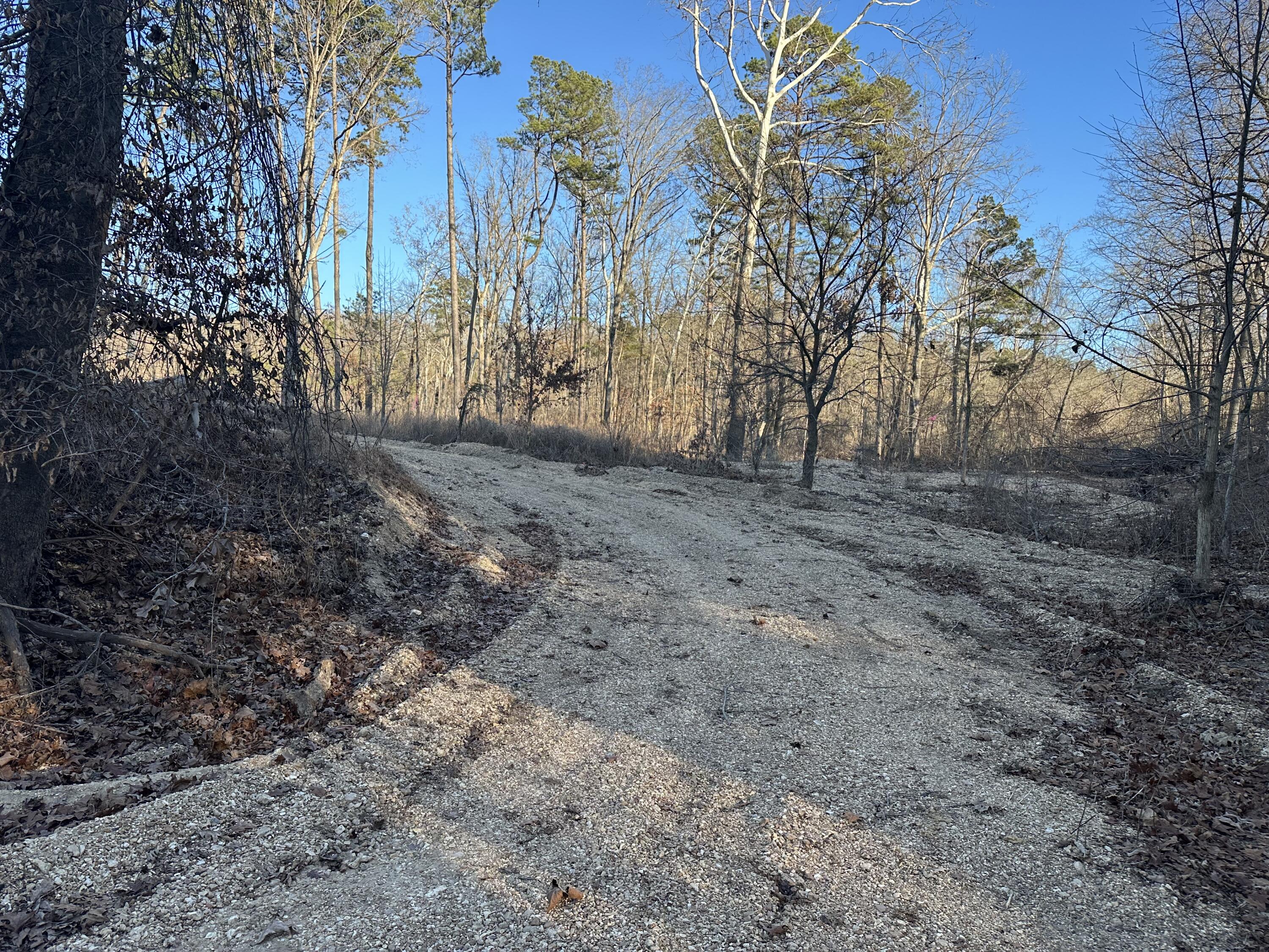 Photo 6 - Land for sale – 000  Bass Rock Drive Lot 2   Van Buren, MO