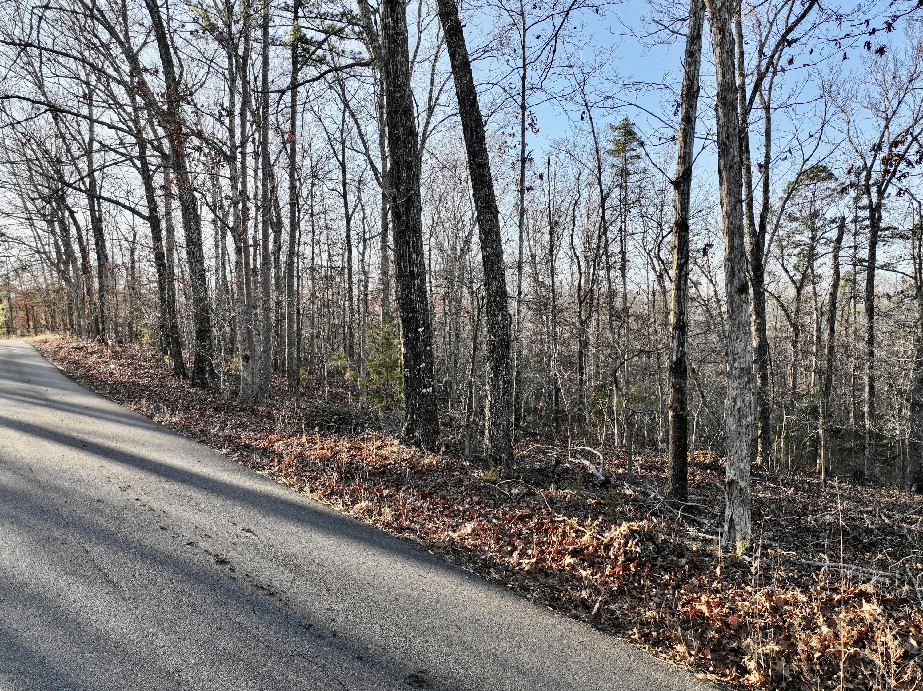 Photo 5 - Land for sale – 000  Bass Rock Drive Lot 2   Van Buren, MO
