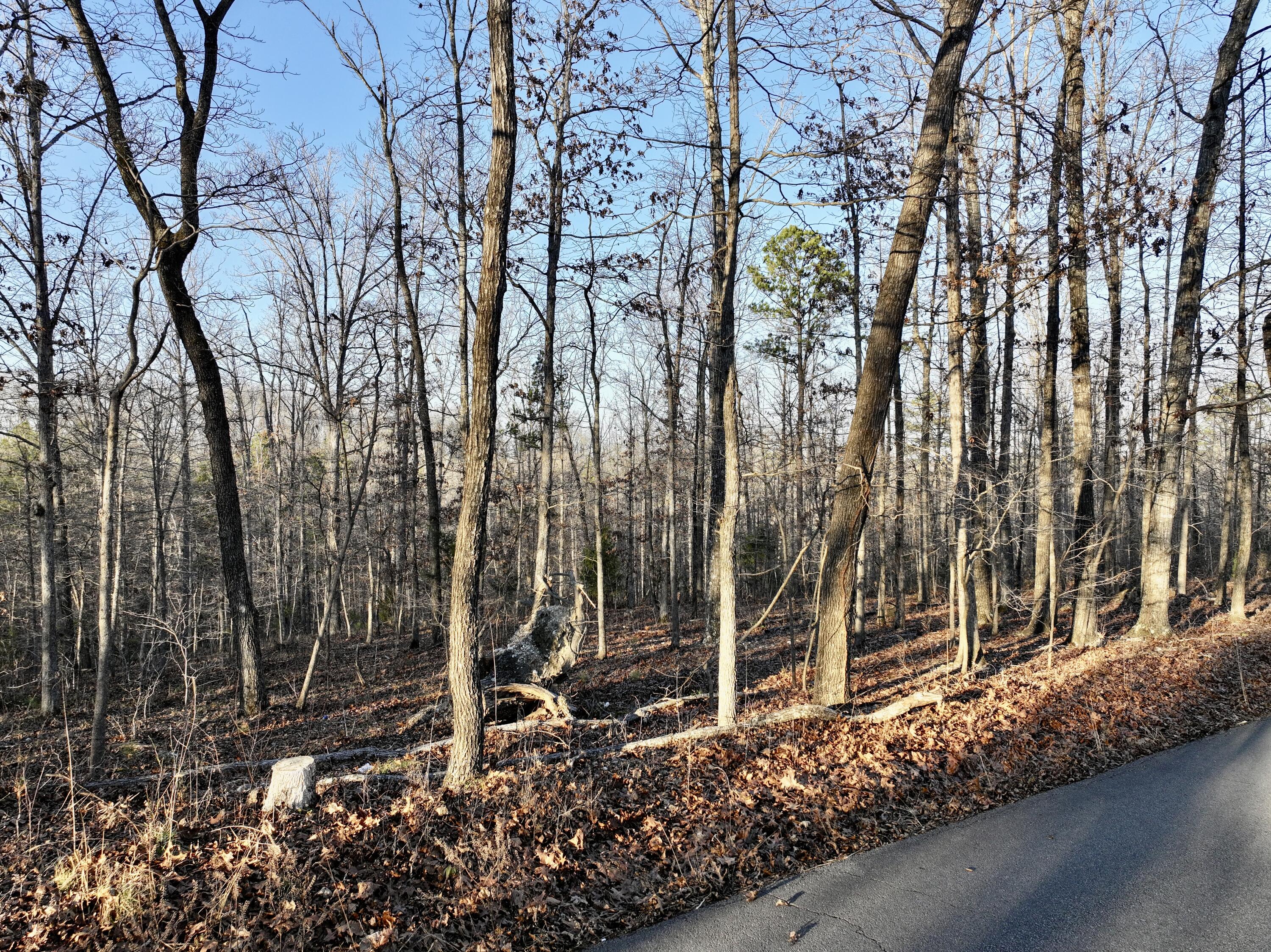 Photo 4 - Land for sale – 000  Bass Rock Drive Lot 2   Van Buren, MO