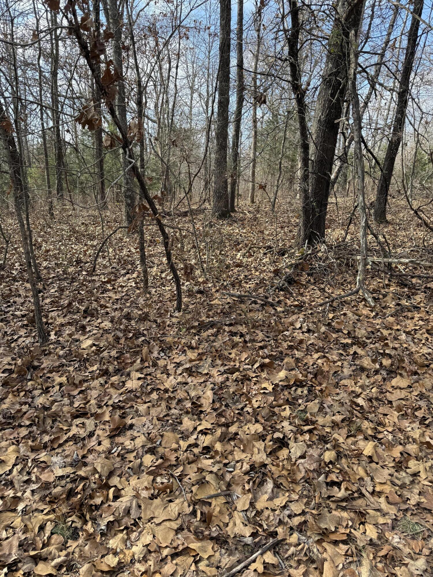 Photo 28 - Land for sale – 000  Varvel Rd   Willow Springs, MO