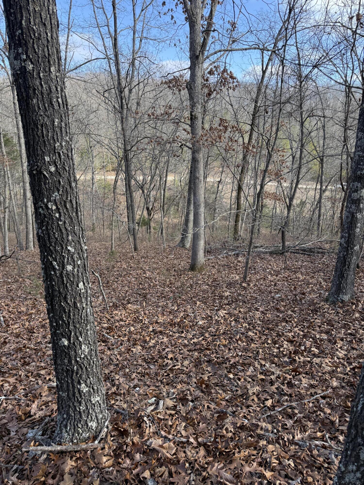 Photo 22 - Land for sale – 000  Varvel Rd   Willow Springs, MO