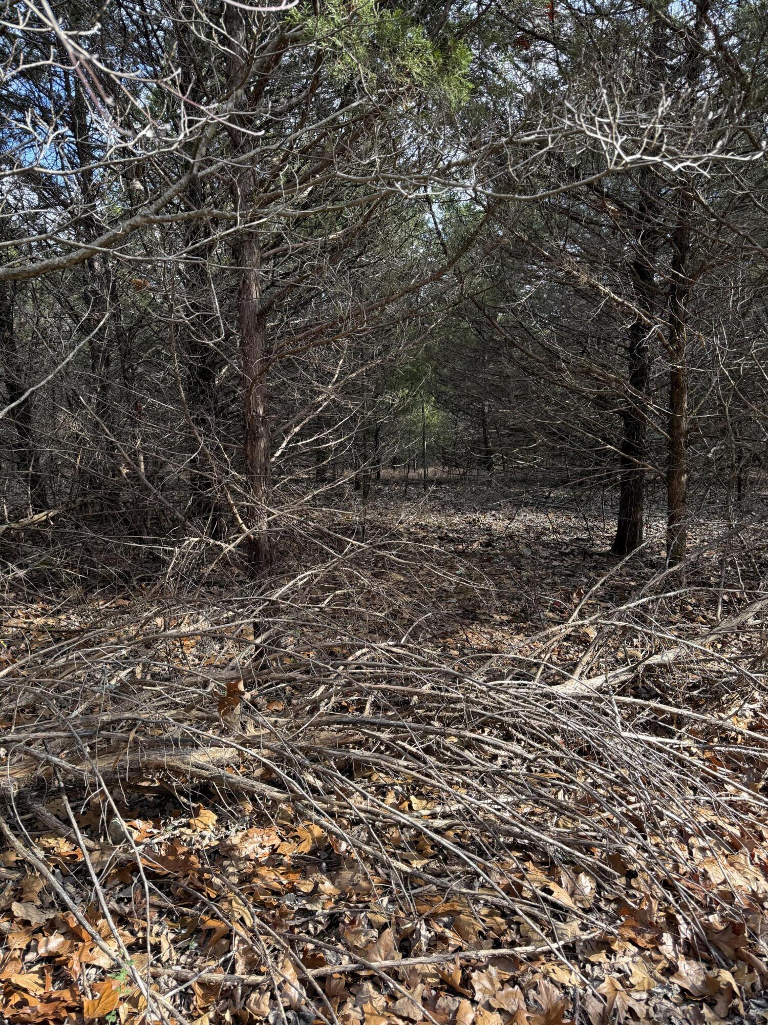 Photo 42 - Land for sale – 000  Varvel Rd   Willow Springs, MO