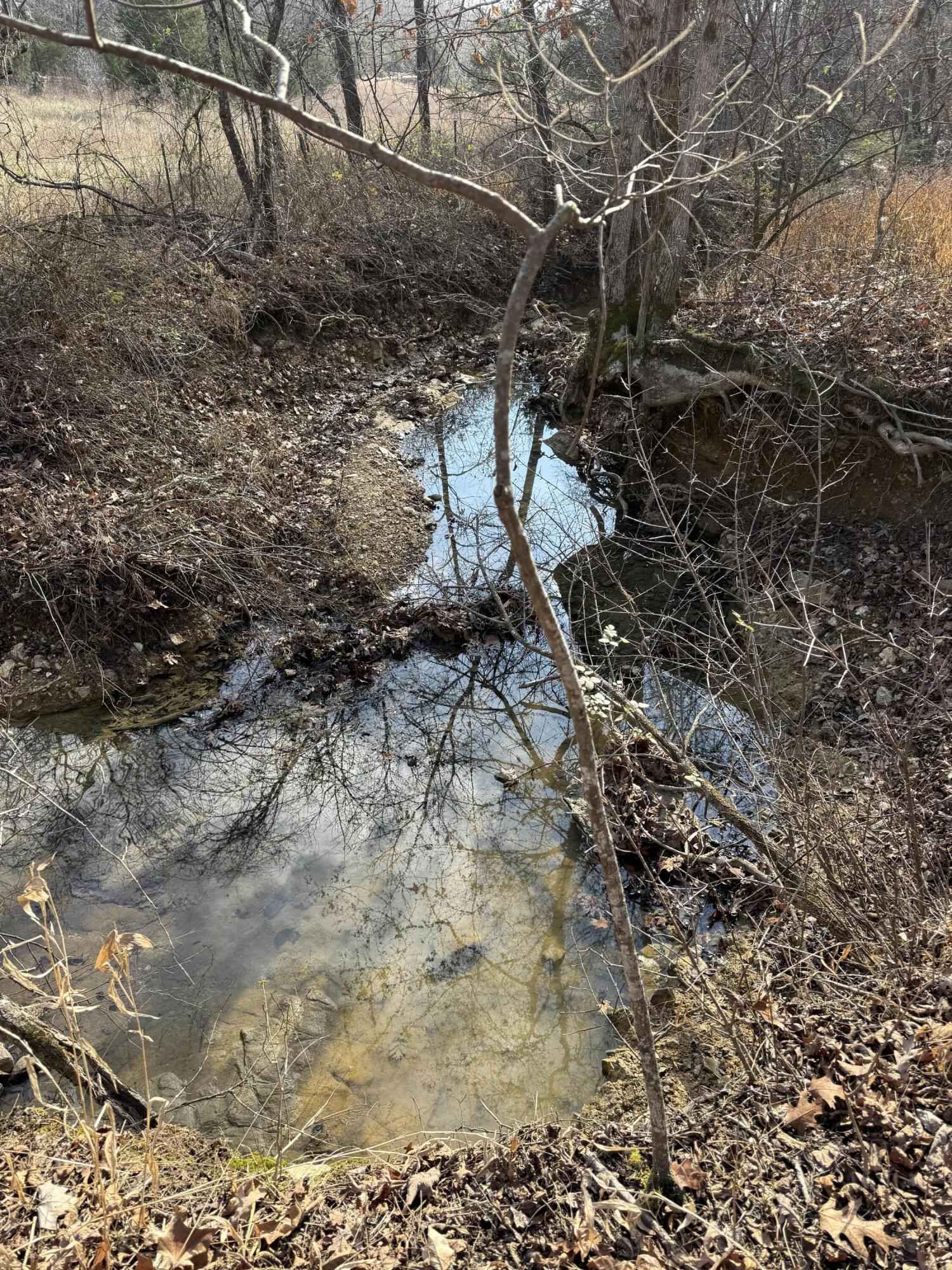 Photo 55 - Land for sale – 000  Varvel Rd   Willow Springs, MO