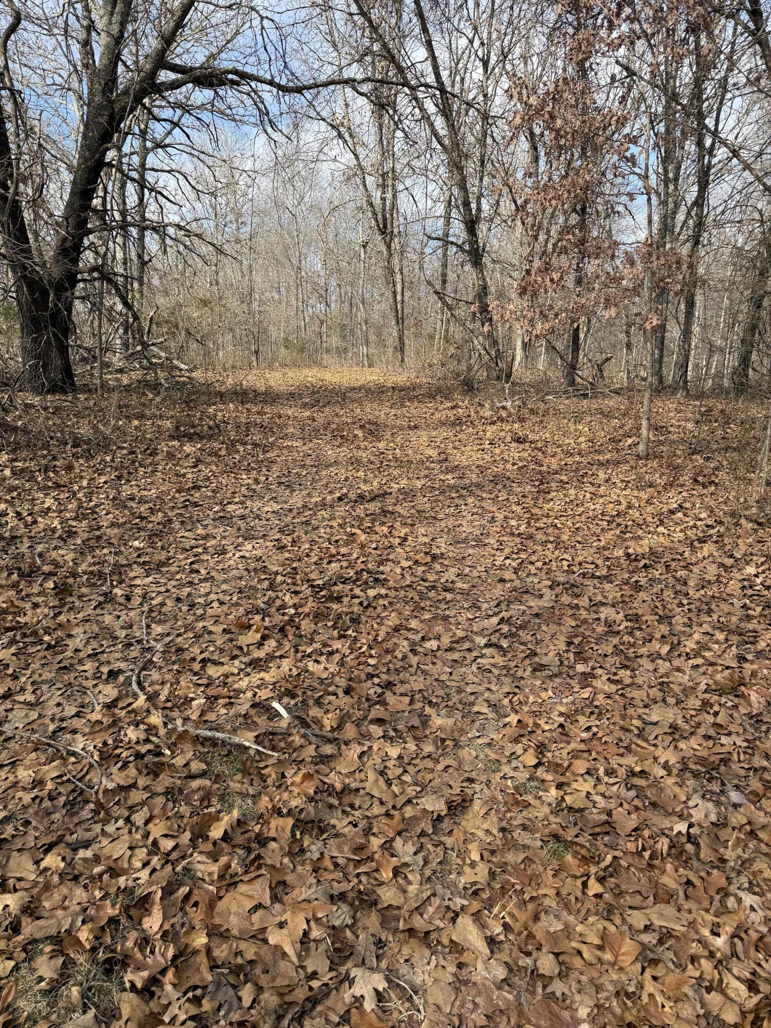 Photo 33 - Land for sale – 000  Varvel Rd   Willow Springs, MO