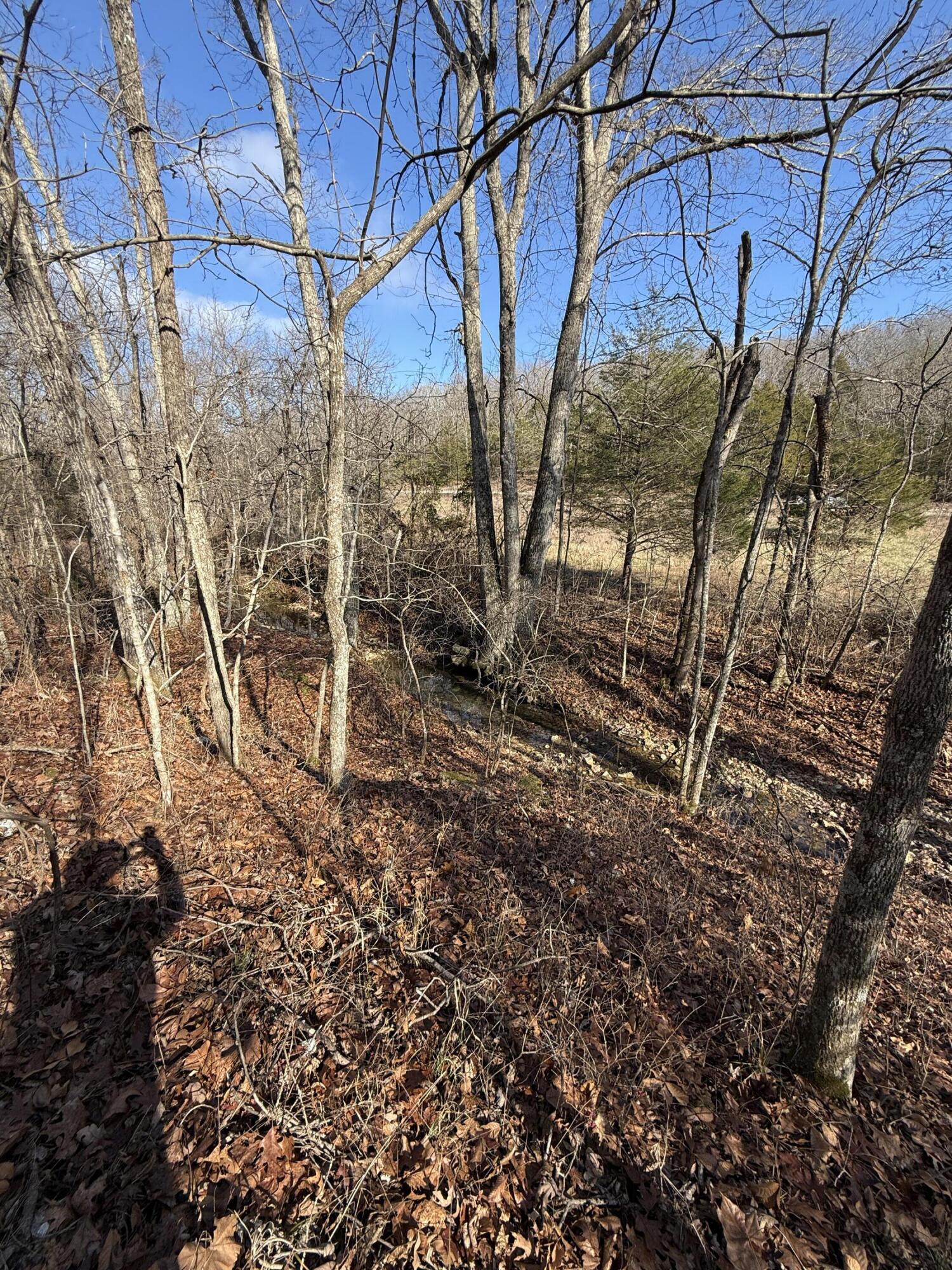 Photo 41 - Land for sale – 000  Varvel Rd   Willow Springs, MO