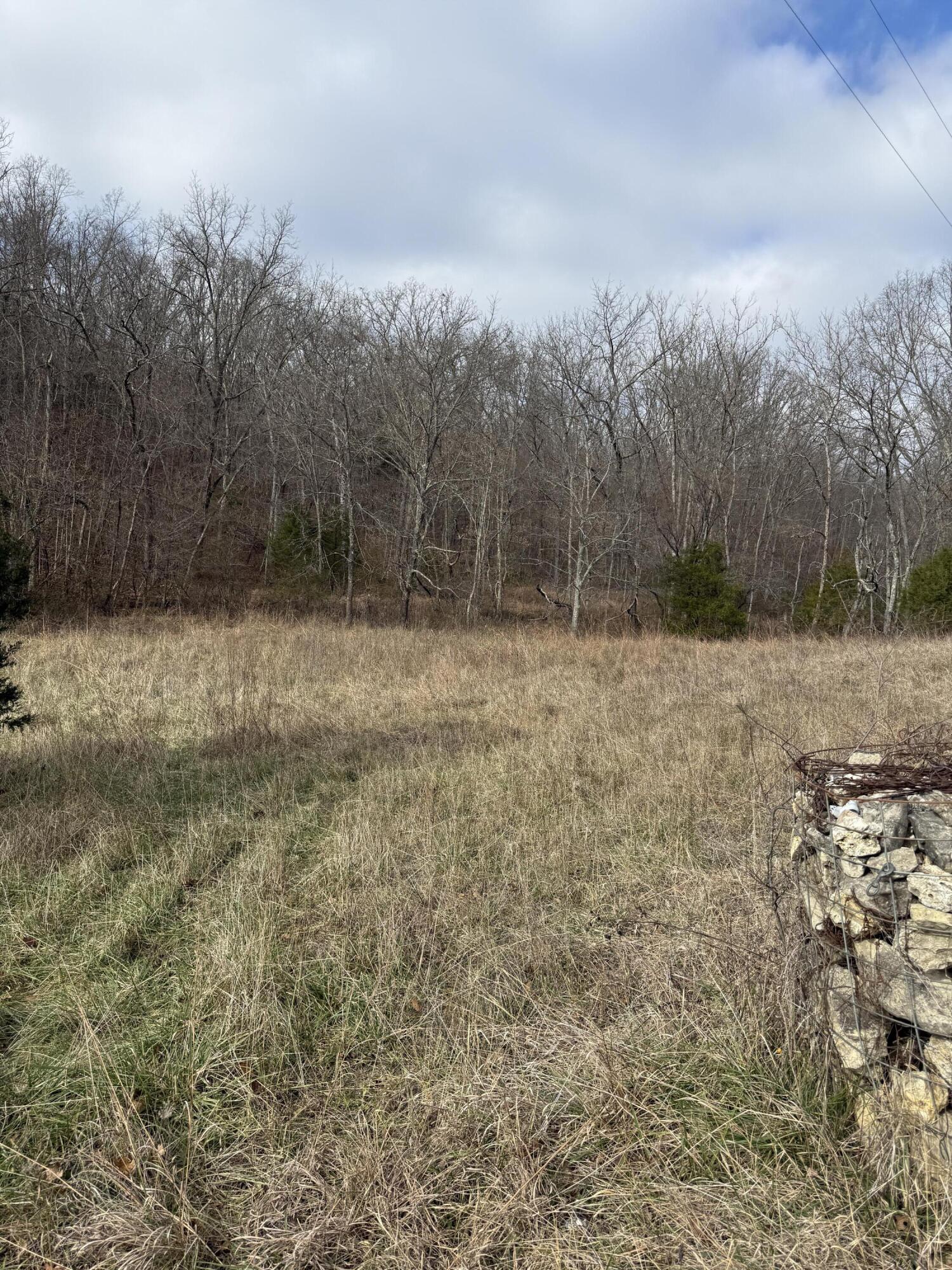 Photo 8 - Land for sale – 000  Varvel Rd   Willow Springs, MO