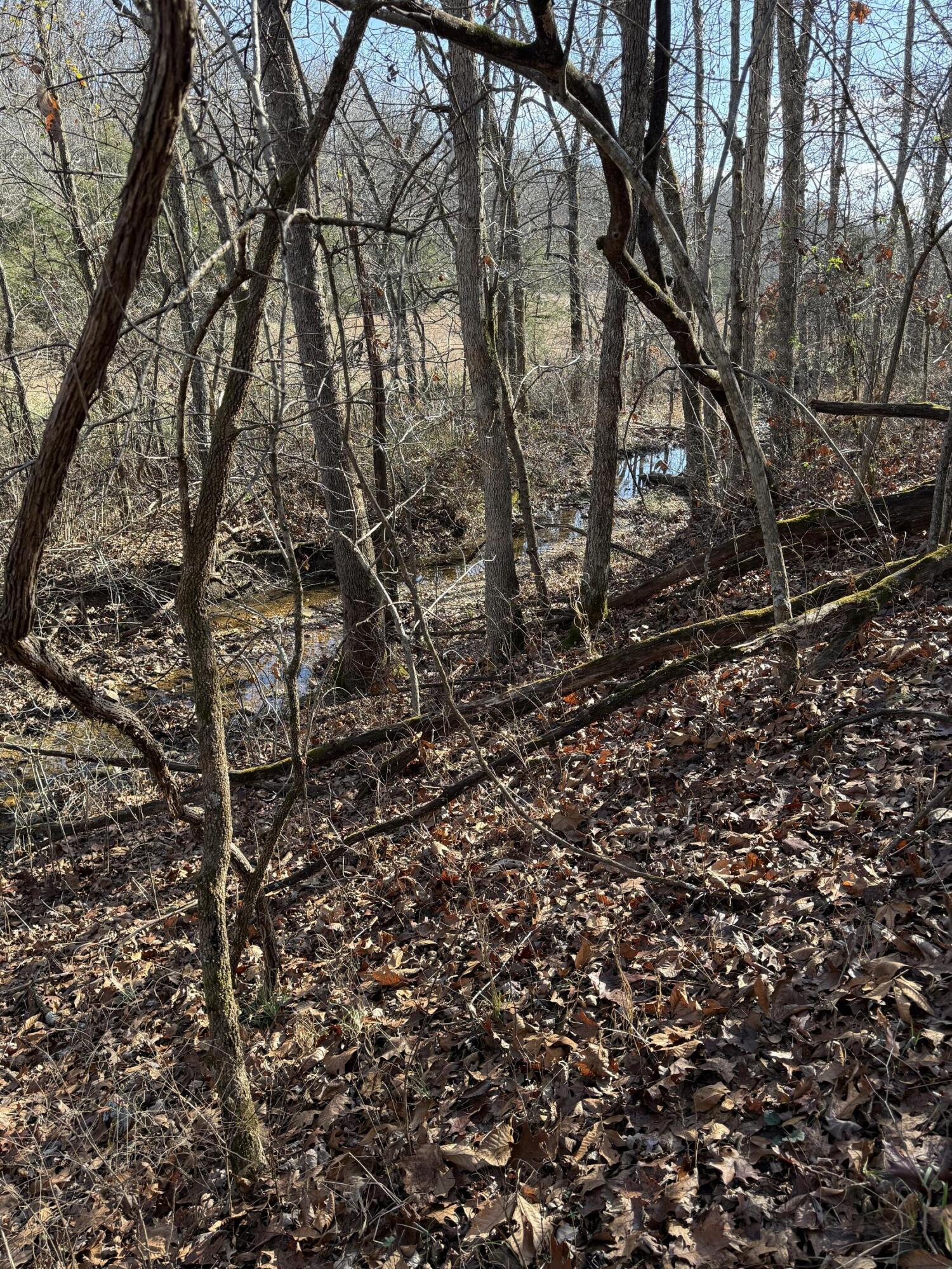Photo 38 - Land for sale – 000  Varvel Rd   Willow Springs, MO