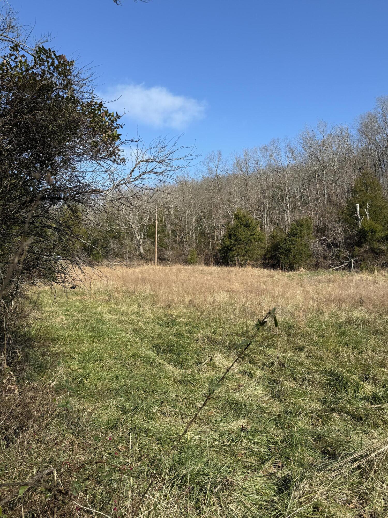 Photo 7 - Land for sale – 000  Varvel Rd   Willow Springs, MO