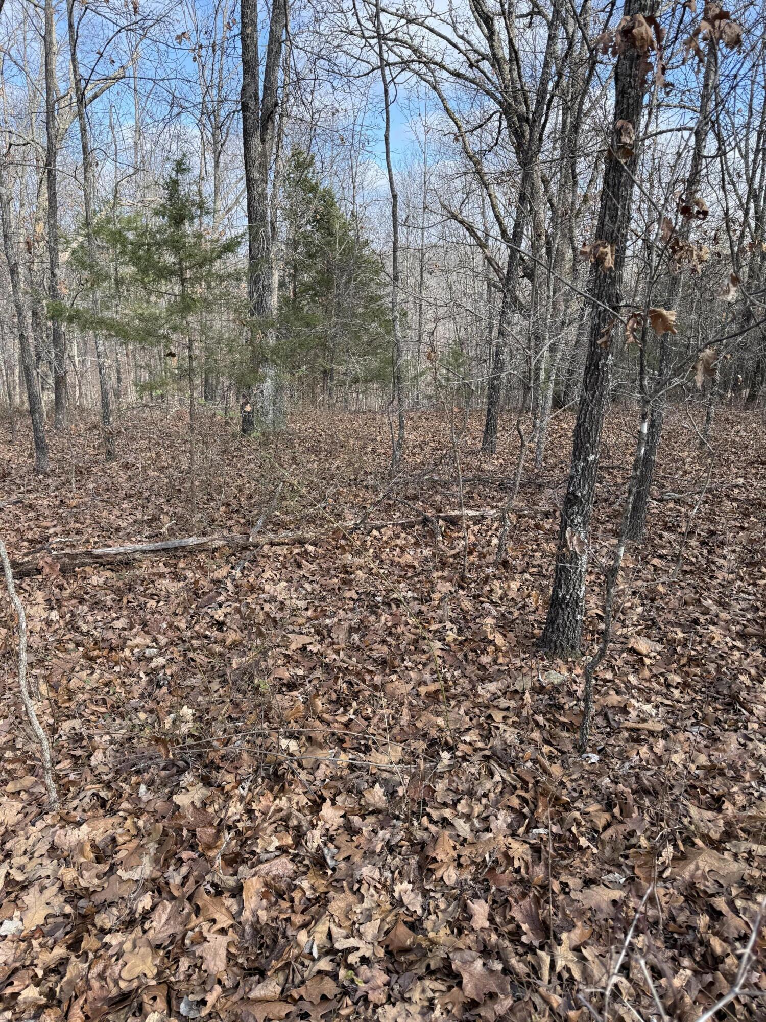 Photo 35 - Land for sale – 000  Varvel Rd   Willow Springs, MO