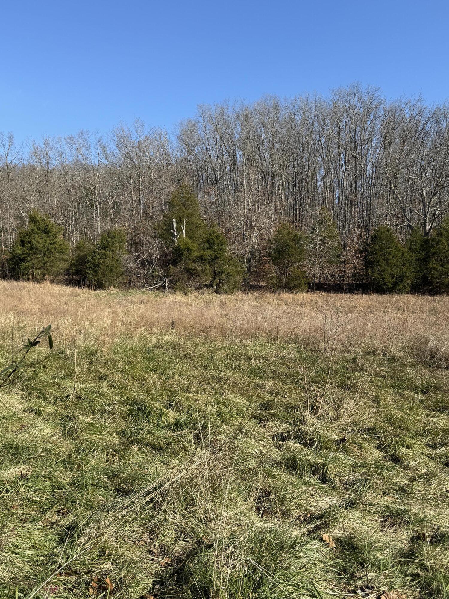 Photo 4 - Land for sale – 000  Varvel Rd   Willow Springs, MO