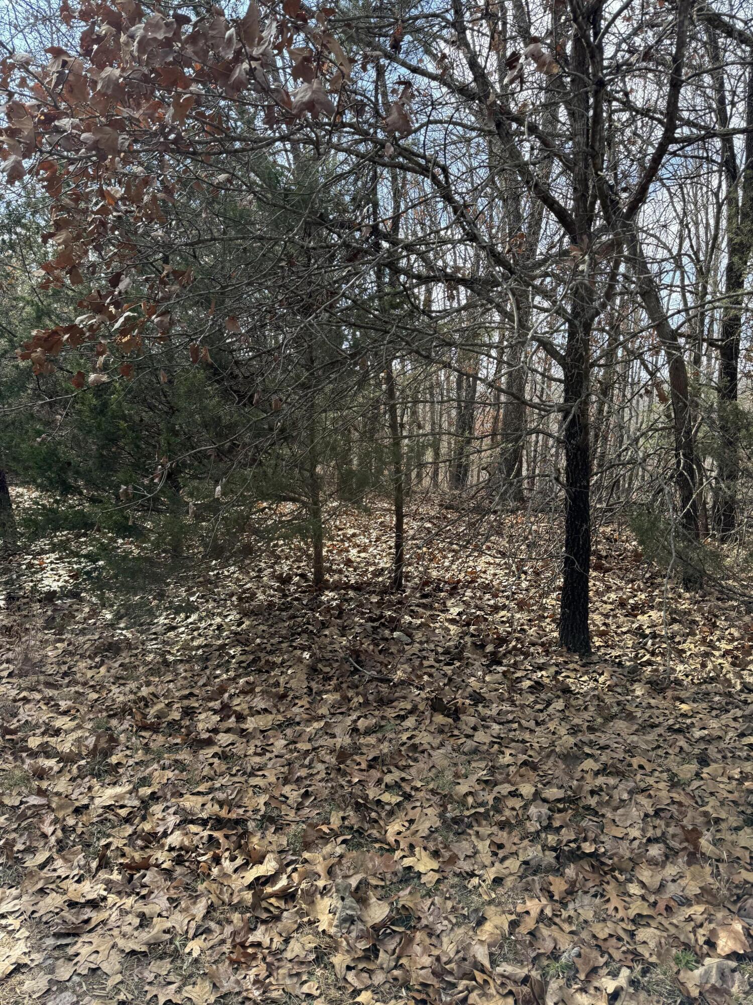 Photo 25 - Land for sale – 000  Varvel Rd   Willow Springs, MO