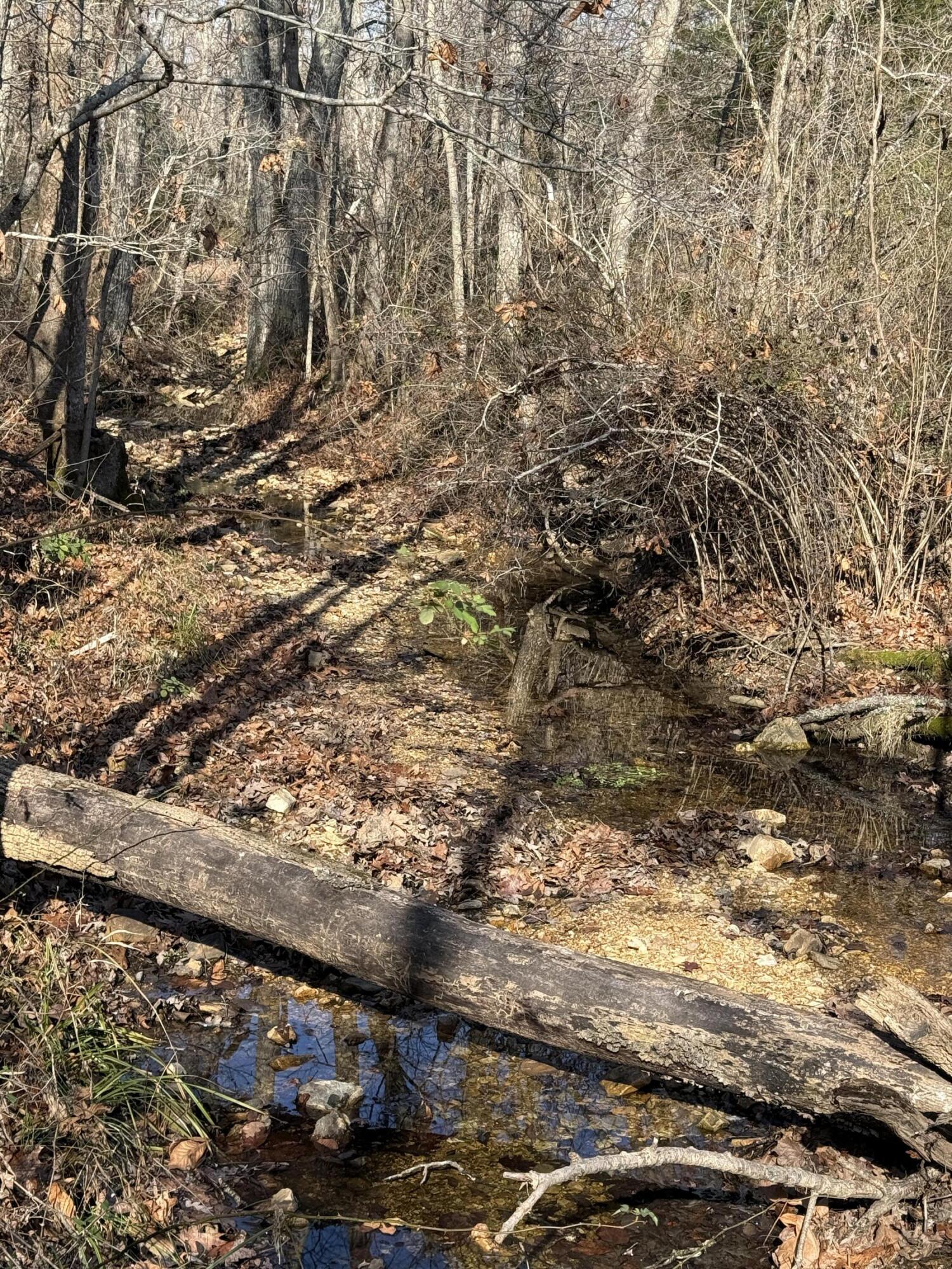 Photo 18 - Land for sale – 000  Varvel Rd   Willow Springs, MO