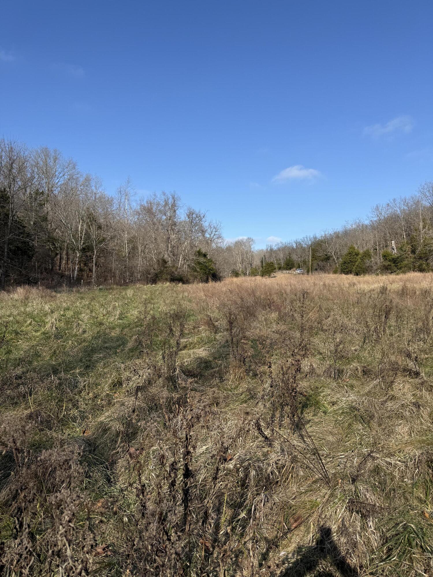 Photo 9 - Land for sale – 000  Varvel Rd   Willow Springs, MO