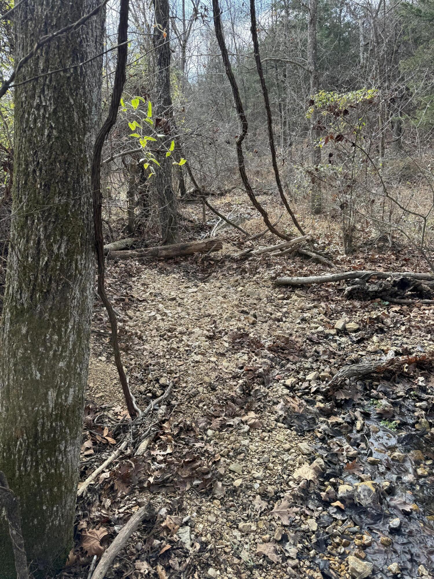 Photo 15 - Land for sale – 000  Varvel Rd   Willow Springs, MO