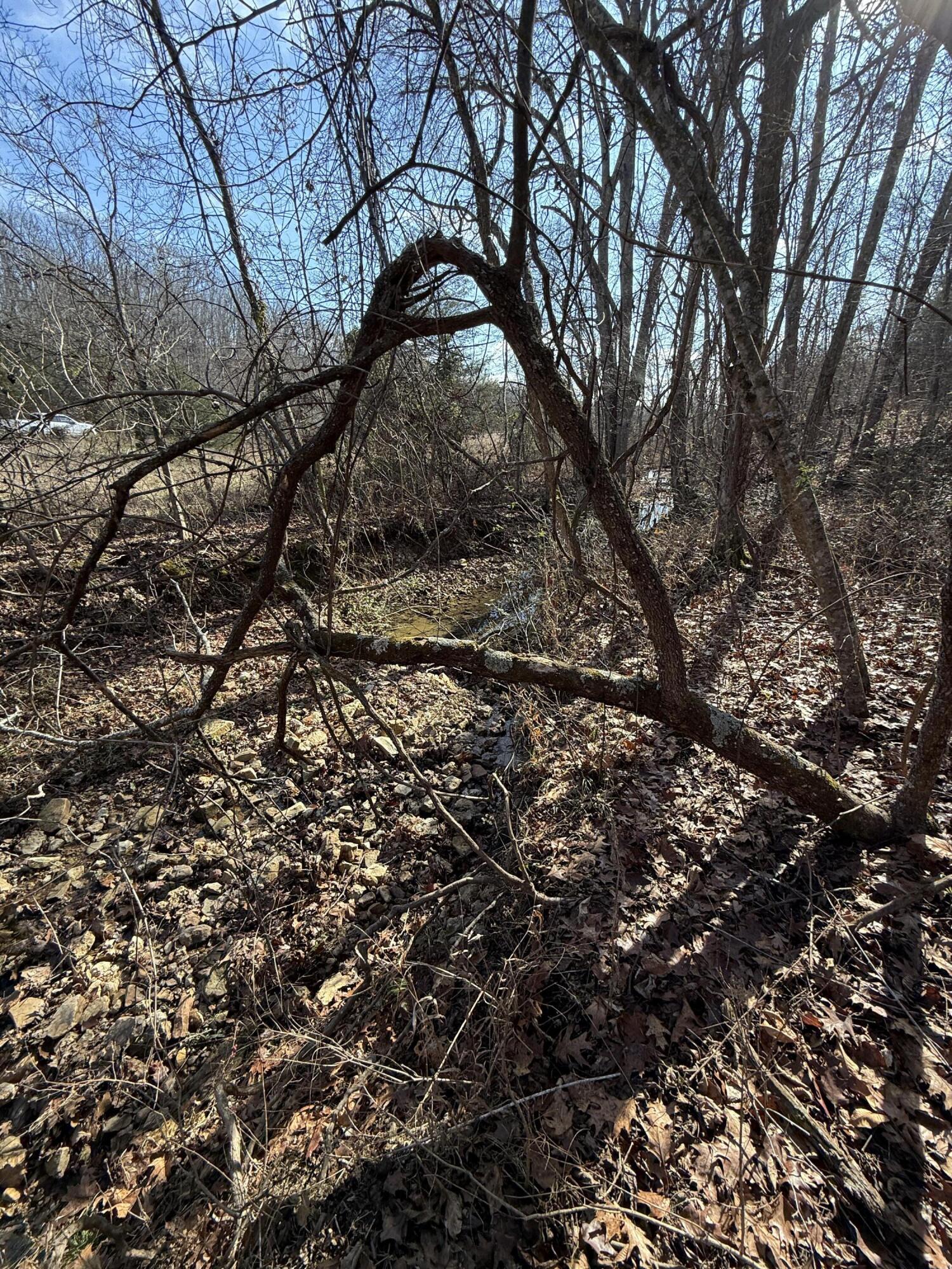 Photo 49 - Land for sale – 000  Varvel Rd   Willow Springs, MO