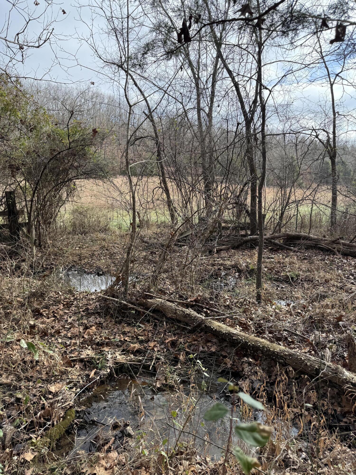Photo 16 - Land for sale – 000  Varvel Rd   Willow Springs, MO