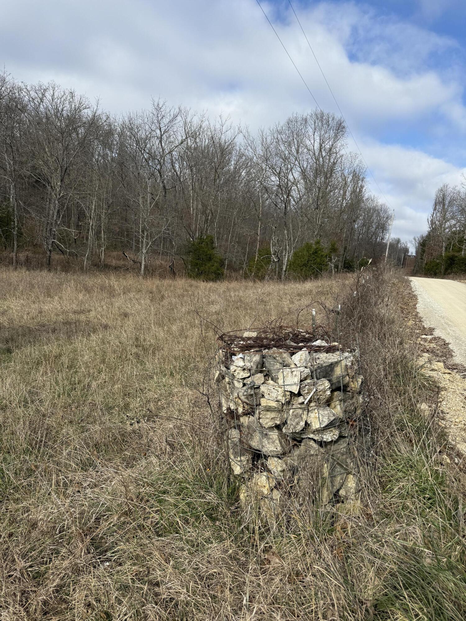 Photo 61 - Land for sale – 000  Varvel Rd   Willow Springs, MO