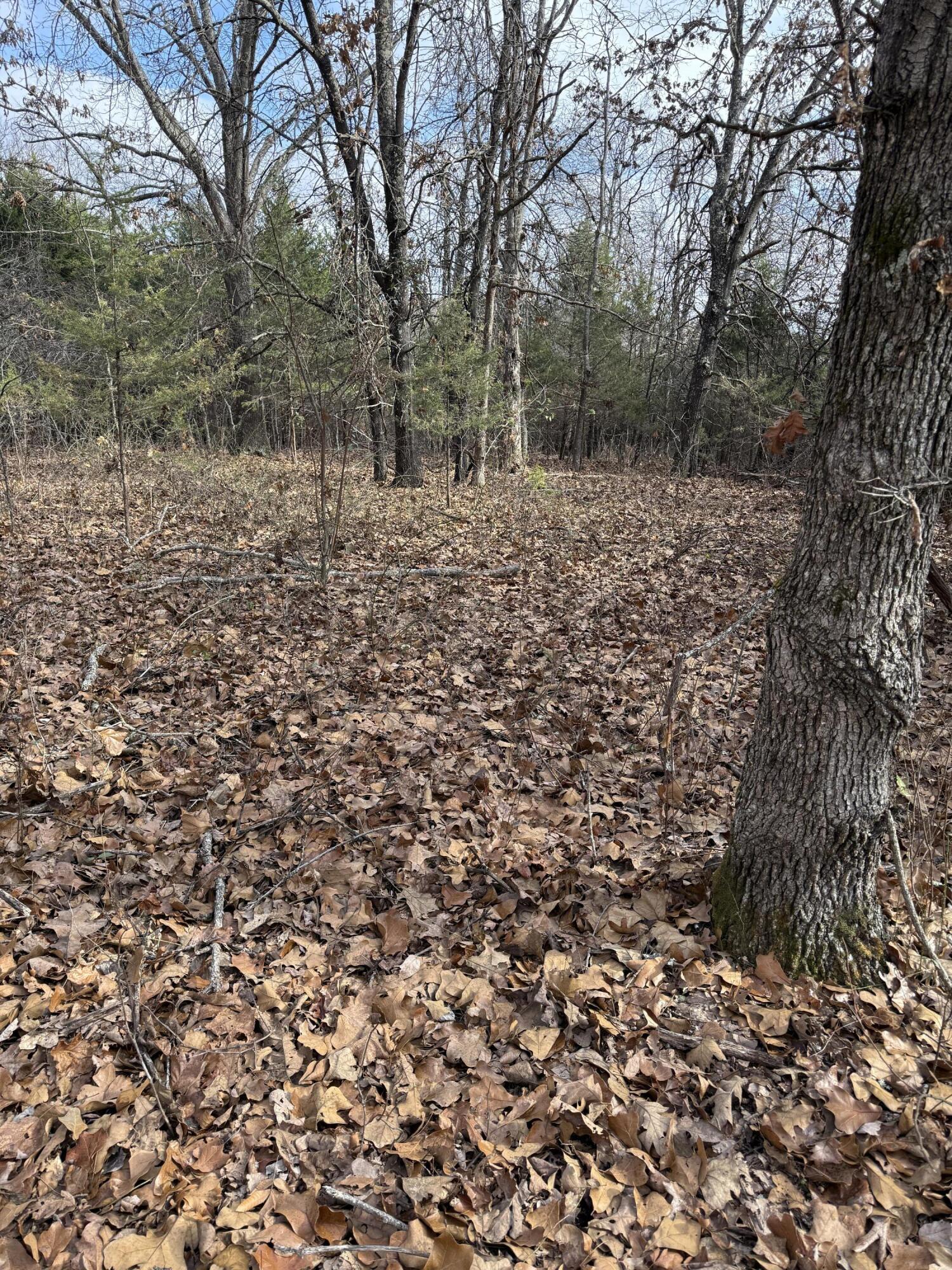 Photo 52 - Land for sale – 000  Varvel Rd   Willow Springs, MO