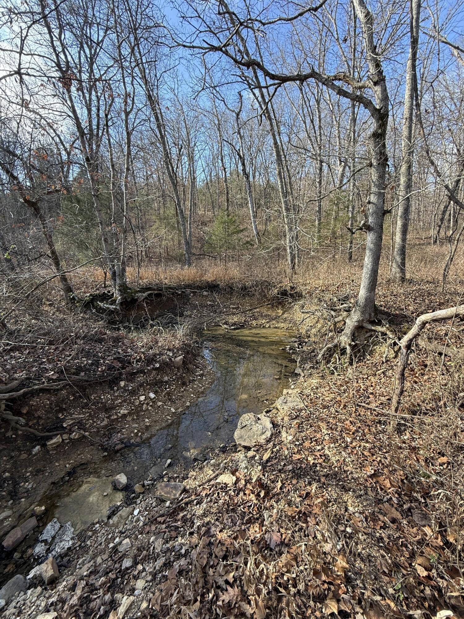 Photo 57 - Land for sale – 000  Varvel Rd   Willow Springs, MO