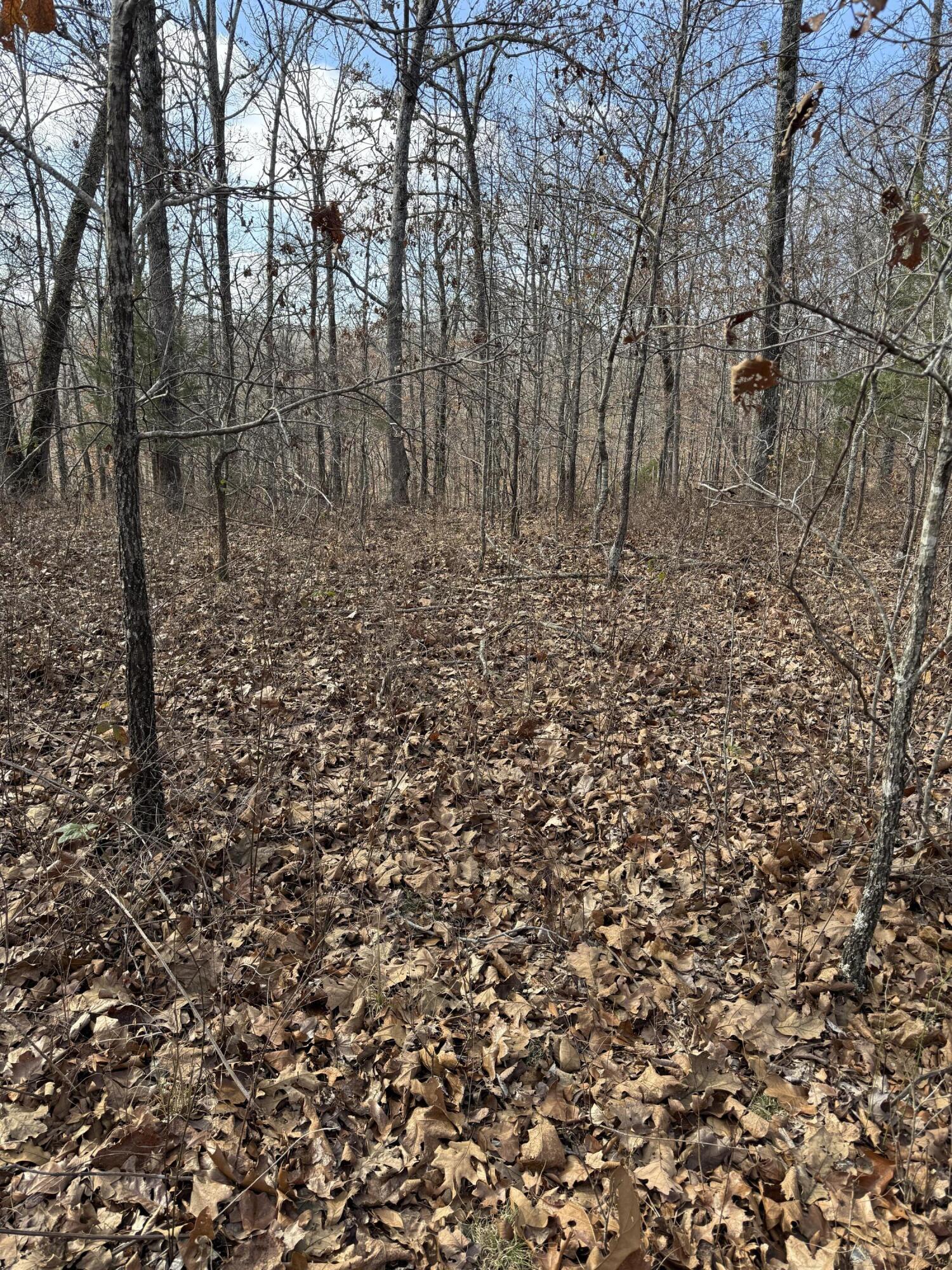 Photo 43 - Land for sale – 000  Varvel Rd   Willow Springs, MO