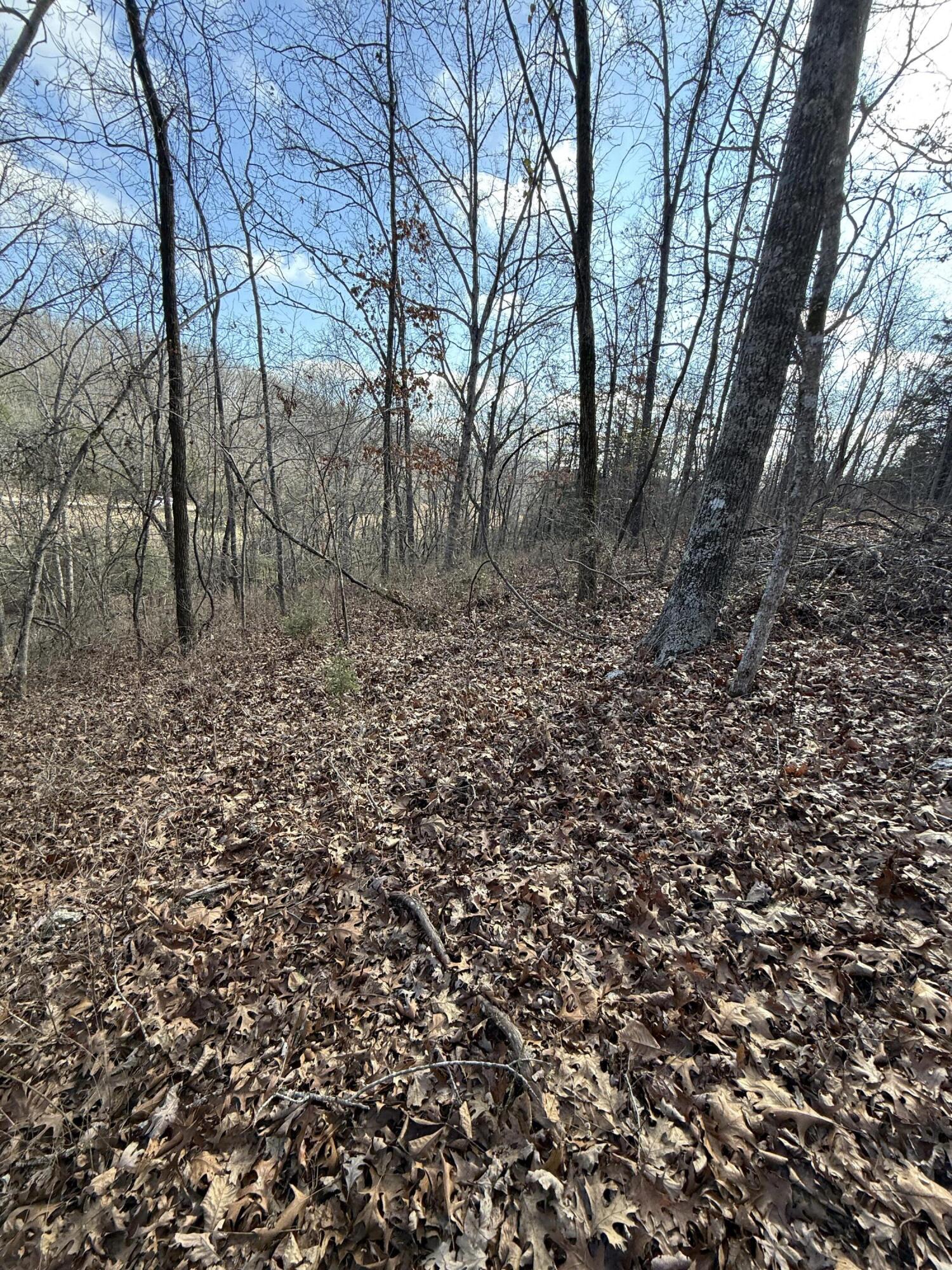Photo 40 - Land for sale – 000  Varvel Rd   Willow Springs, MO