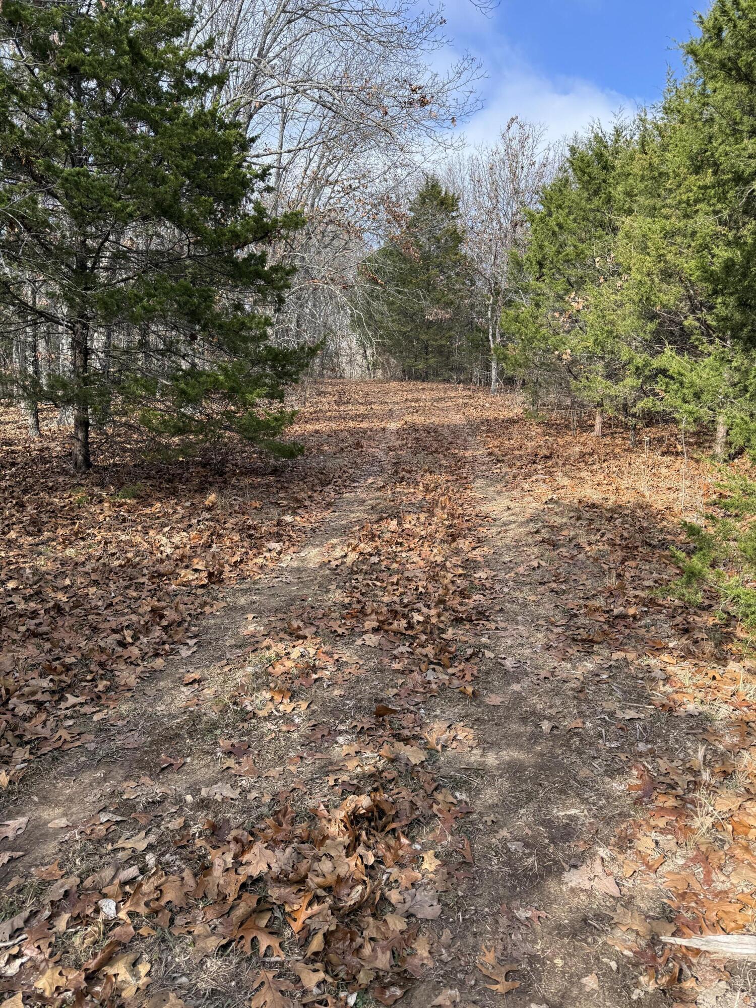 Photo 23 - Land for sale – 000  Varvel Rd   Willow Springs, MO