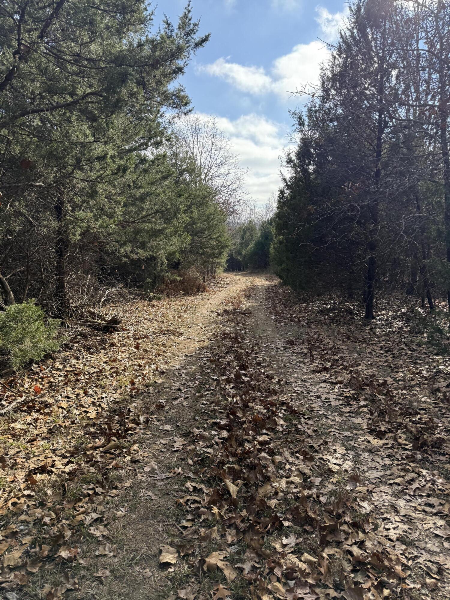 Photo 37 - Land for sale – 000  Varvel Rd   Willow Springs, MO