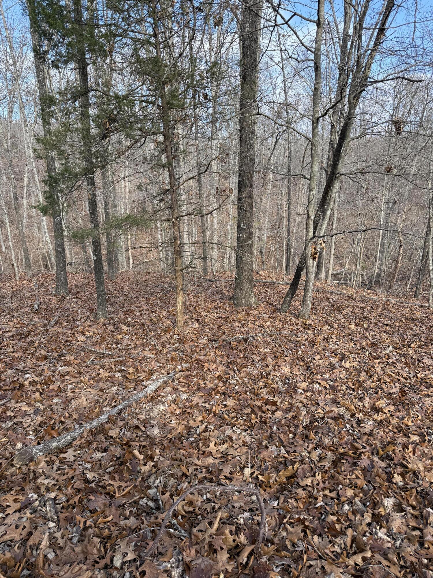 Photo 27 - Land for sale – 000  Varvel Rd   Willow Springs, MO