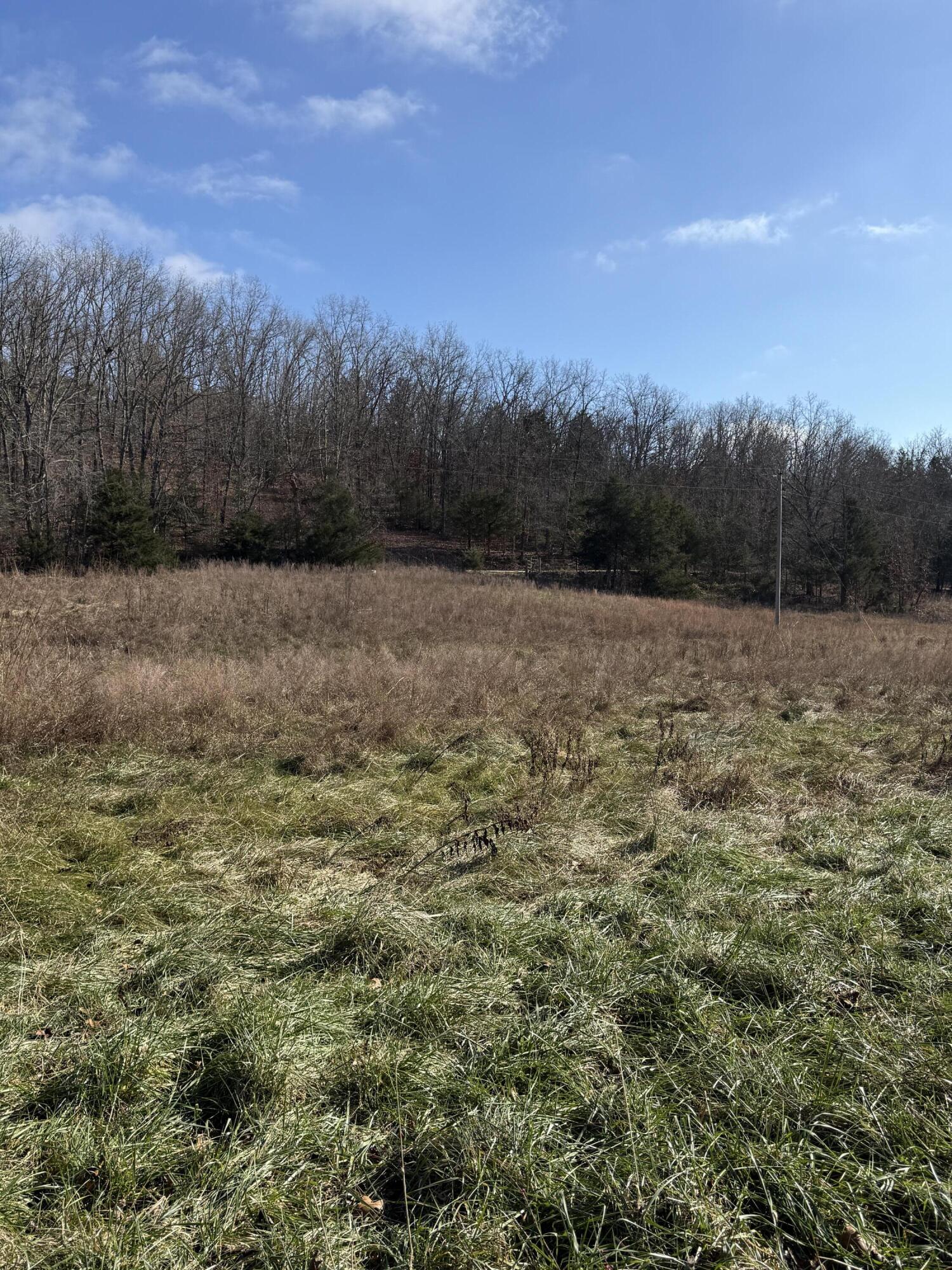 Photo 5 - Land for sale – 000  Varvel Rd   Willow Springs, MO