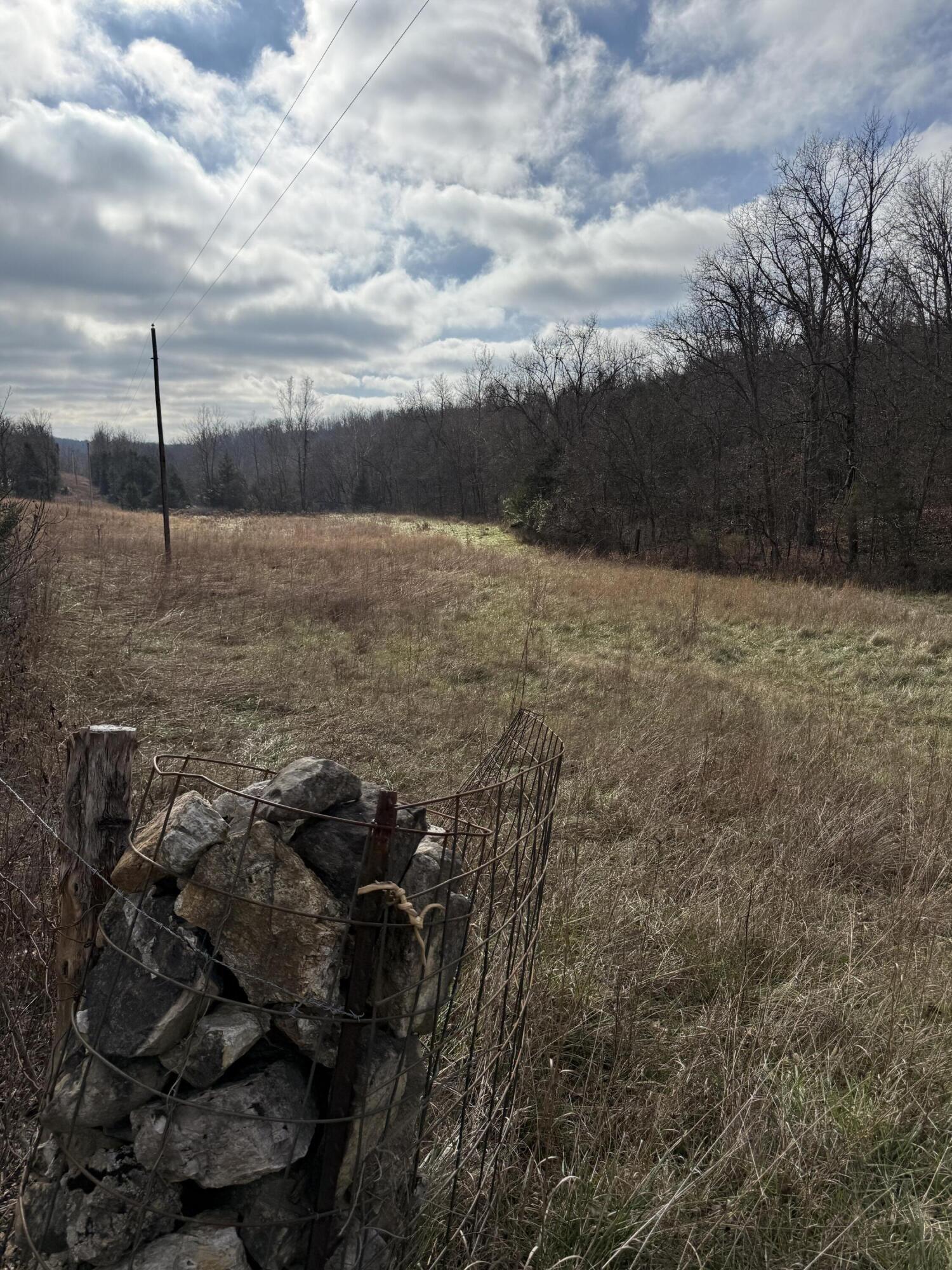 Photo 21 - Land for sale – 000  Varvel Rd   Willow Springs, MO