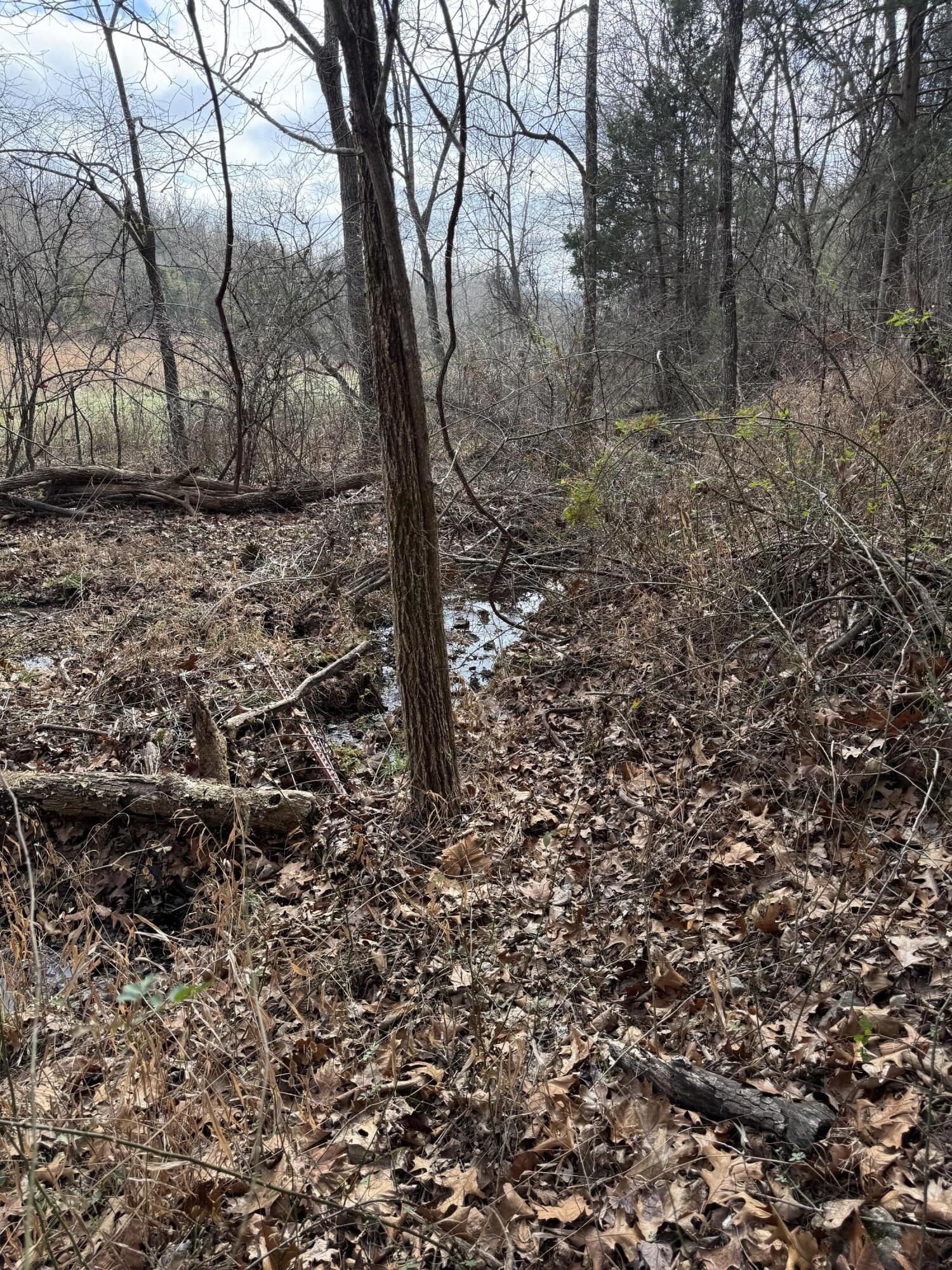 Photo 11 - Land for sale – 000  Varvel Rd   Willow Springs, MO