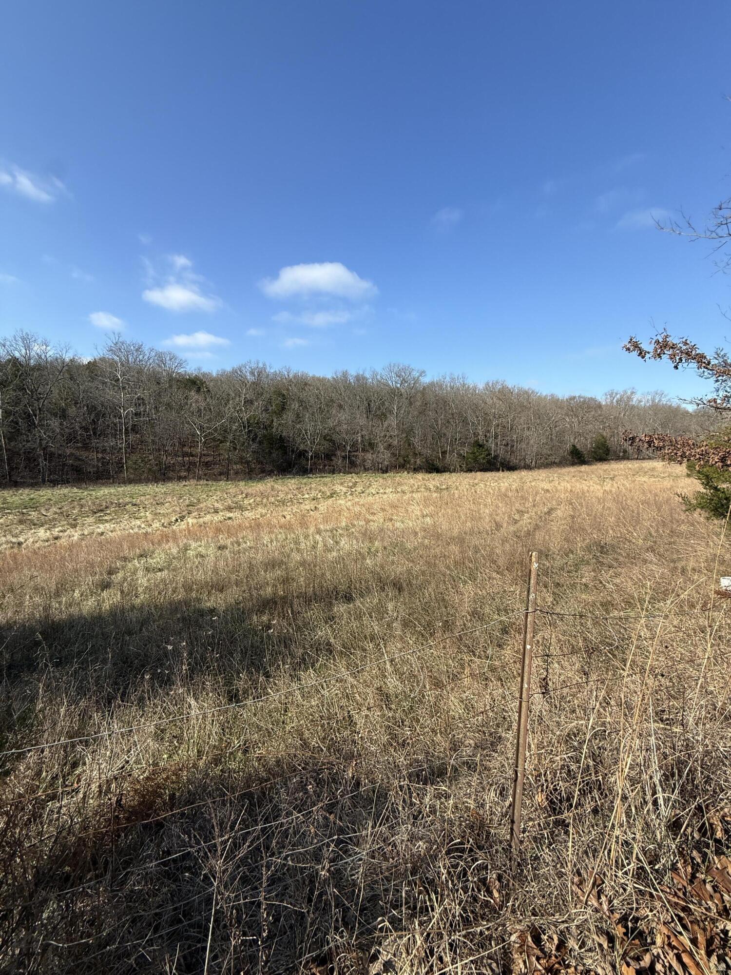 Land for sale – 000  Varvel Rd   Willow Springs, MO