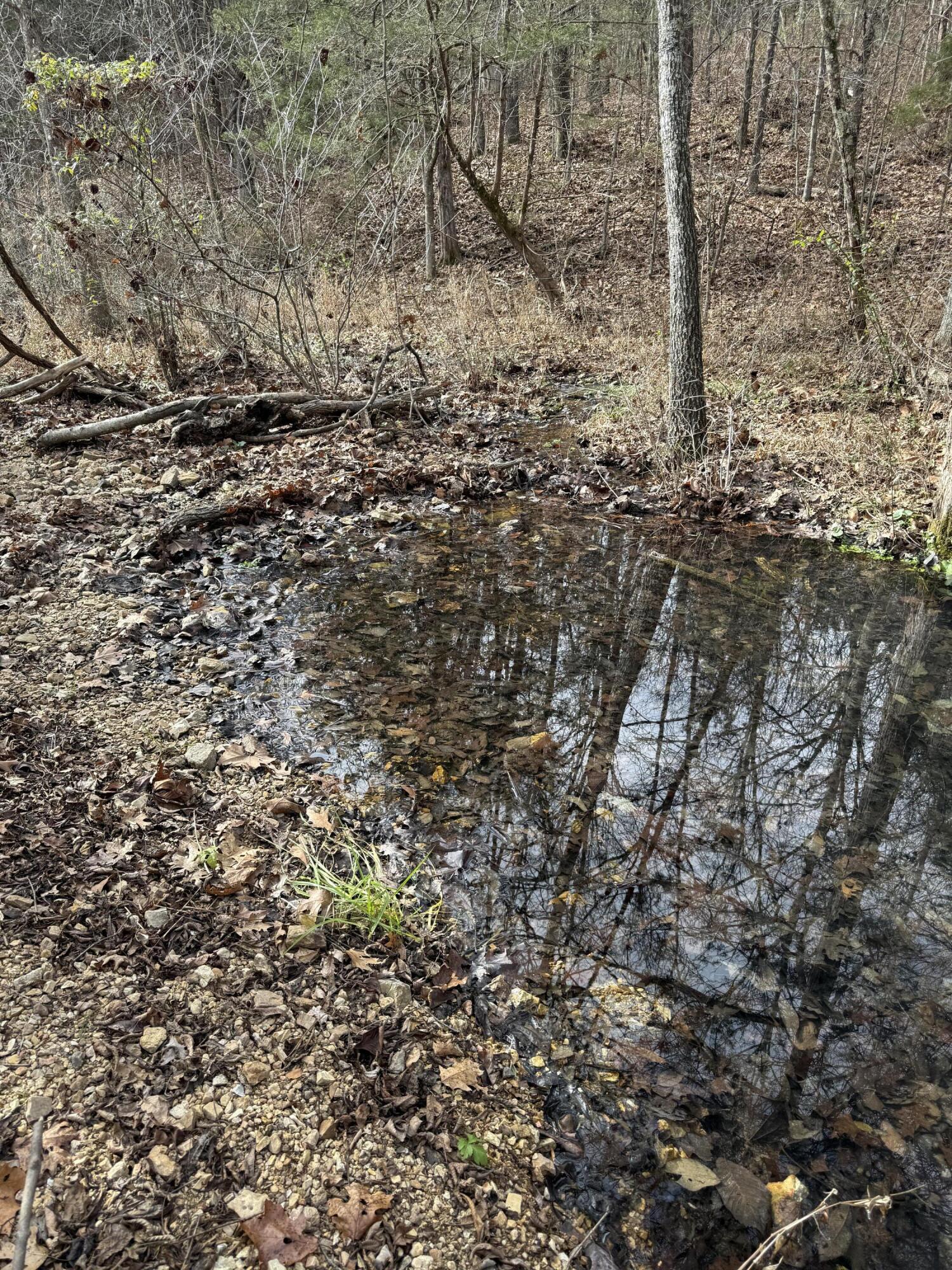 Photo 46 - Land for sale – 000  Varvel Rd   Willow Springs, MO
