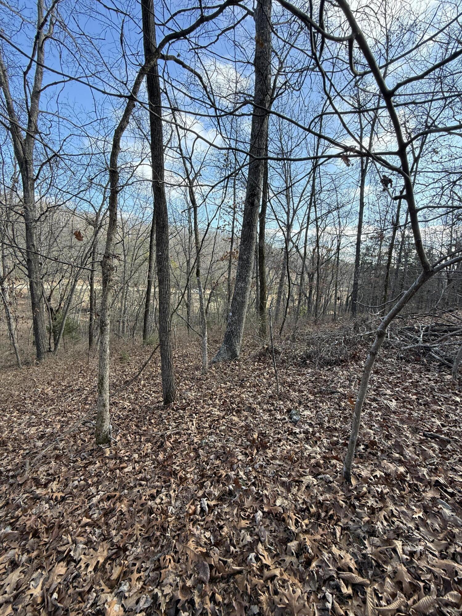 Photo 29 - Land for sale – 000  Varvel Rd   Willow Springs, MO