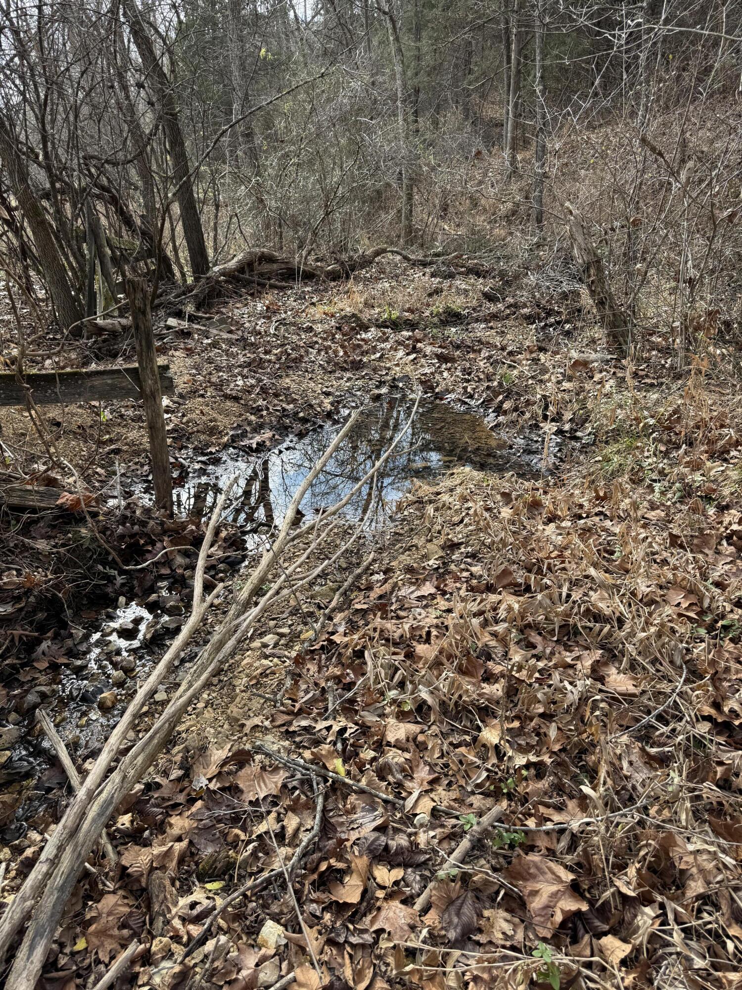 Photo 10 - Land for sale – 000  Varvel Rd   Willow Springs, MO