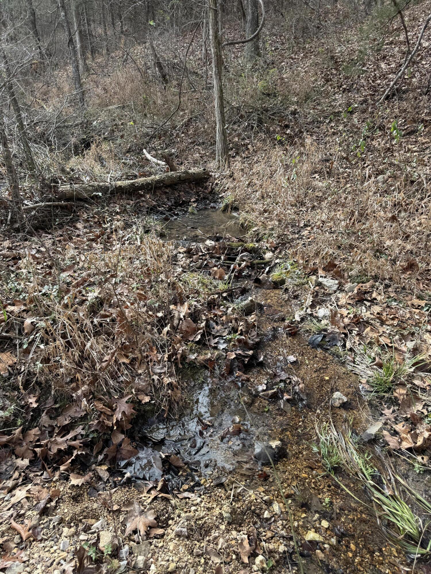 Photo 13 - Land for sale – 000  Varvel Rd   Willow Springs, MO