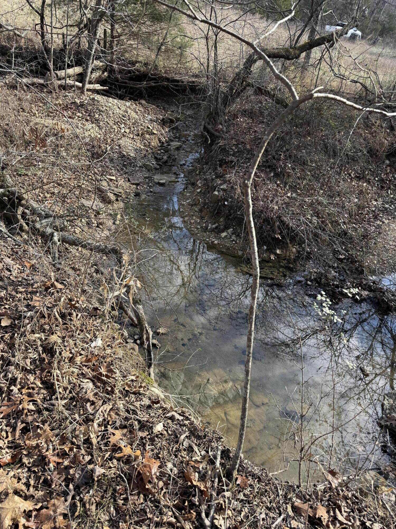 Photo 58 - Land for sale – 000  Varvel Rd   Willow Springs, MO