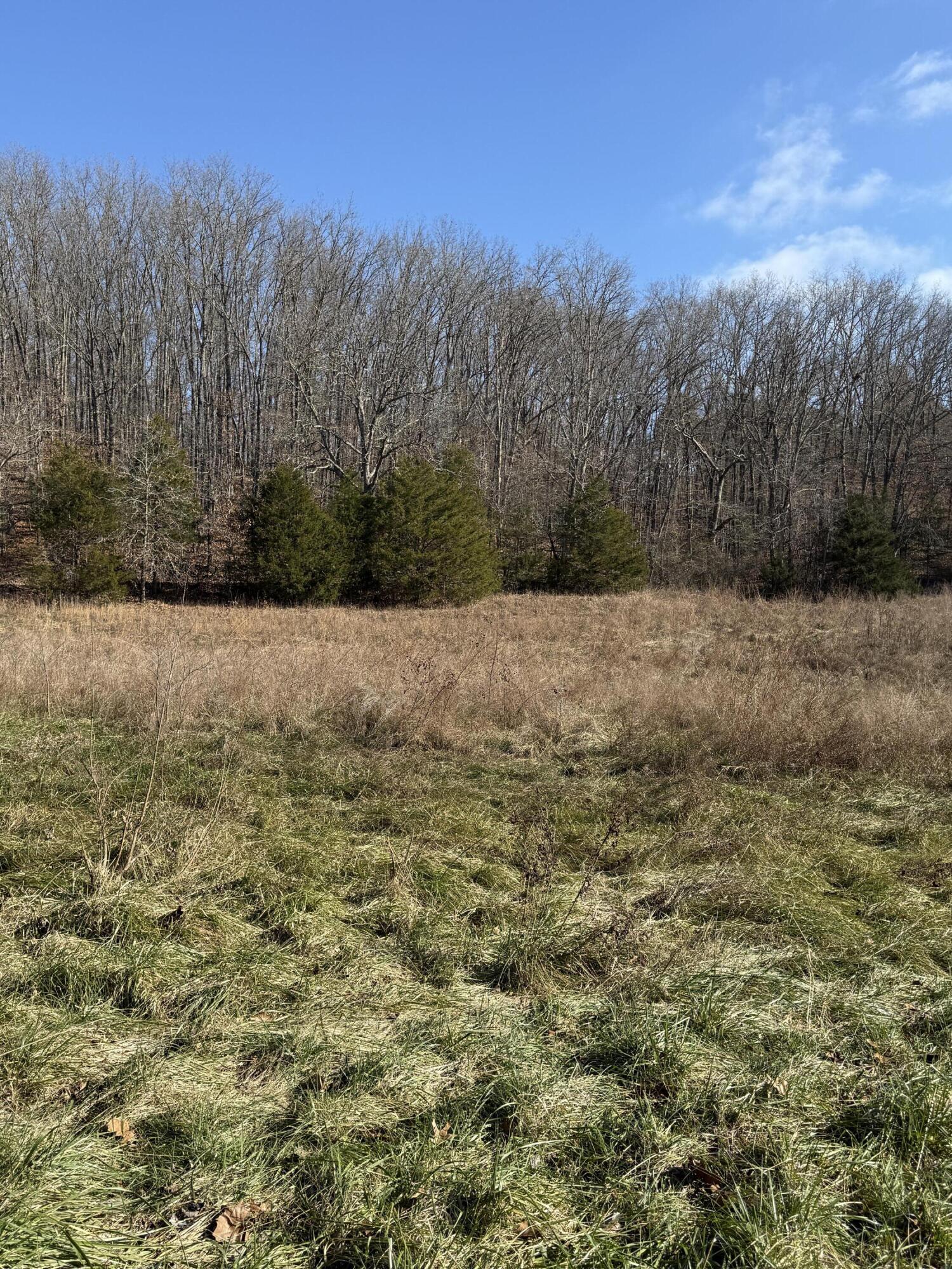 Photo 3 - Land for sale – 000  Varvel Rd   Willow Springs, MO