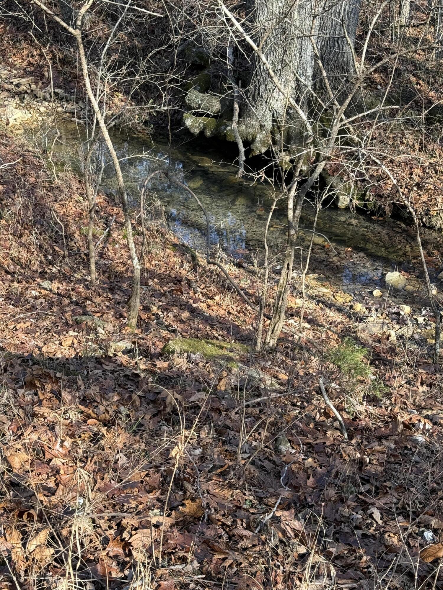 Photo 31 - Land for sale – 000  Varvel Rd   Willow Springs, MO