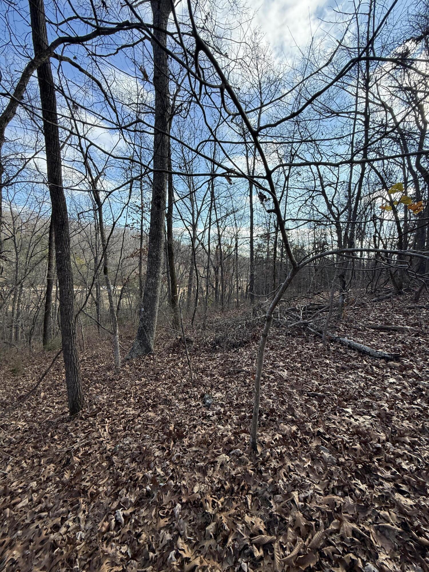 Photo 32 - Land for sale – 000  Varvel Rd   Willow Springs, MO
